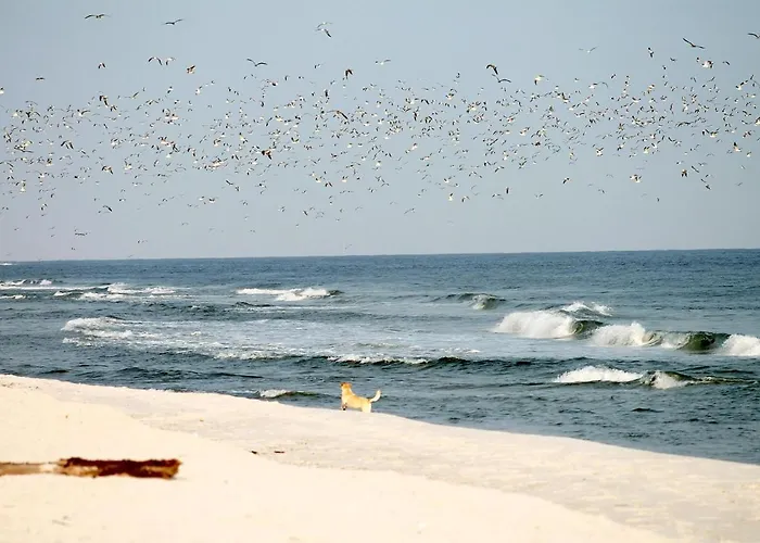 White Pearl 0.09 * Timmendorfer Strand